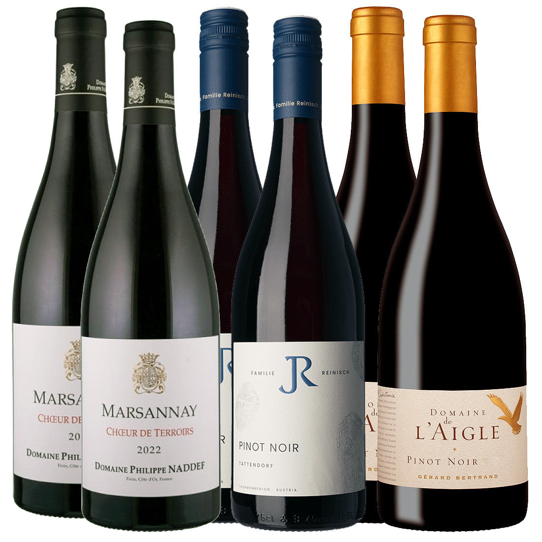 Pinot Noir -maistelulaatikko